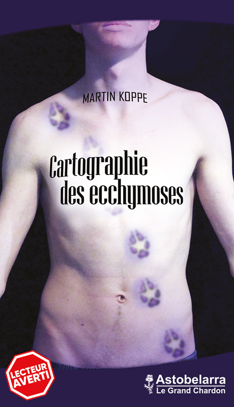 Carthographie des ecchymoses, roman de Martin Koppe, Astobelarra 2020